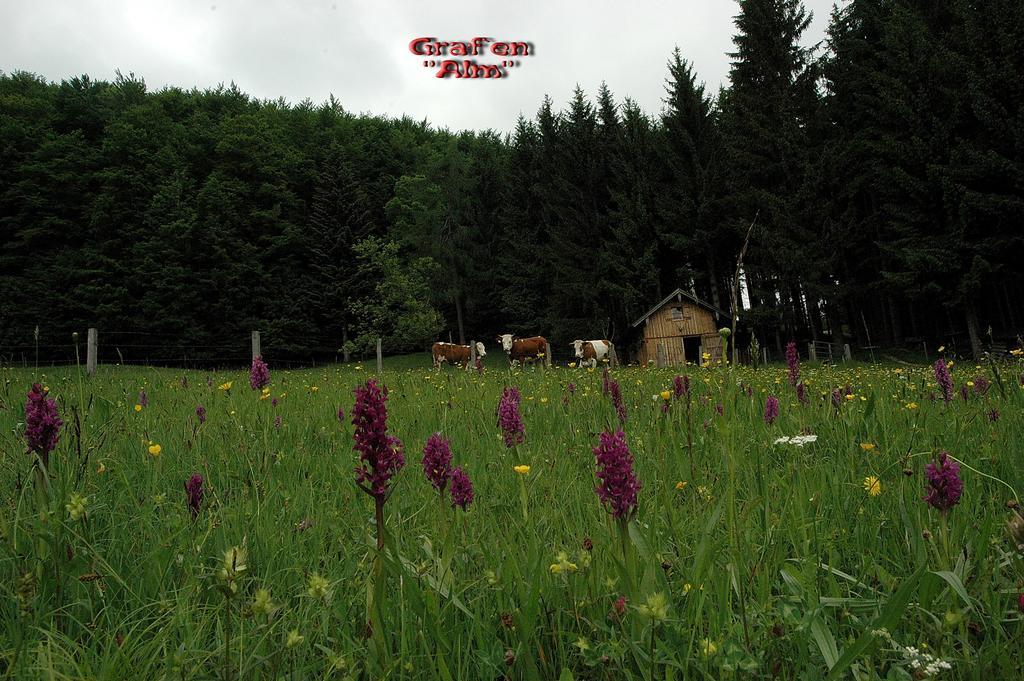 Ferienhof Margarethengut Unterach am Attersee Bagian luar foto