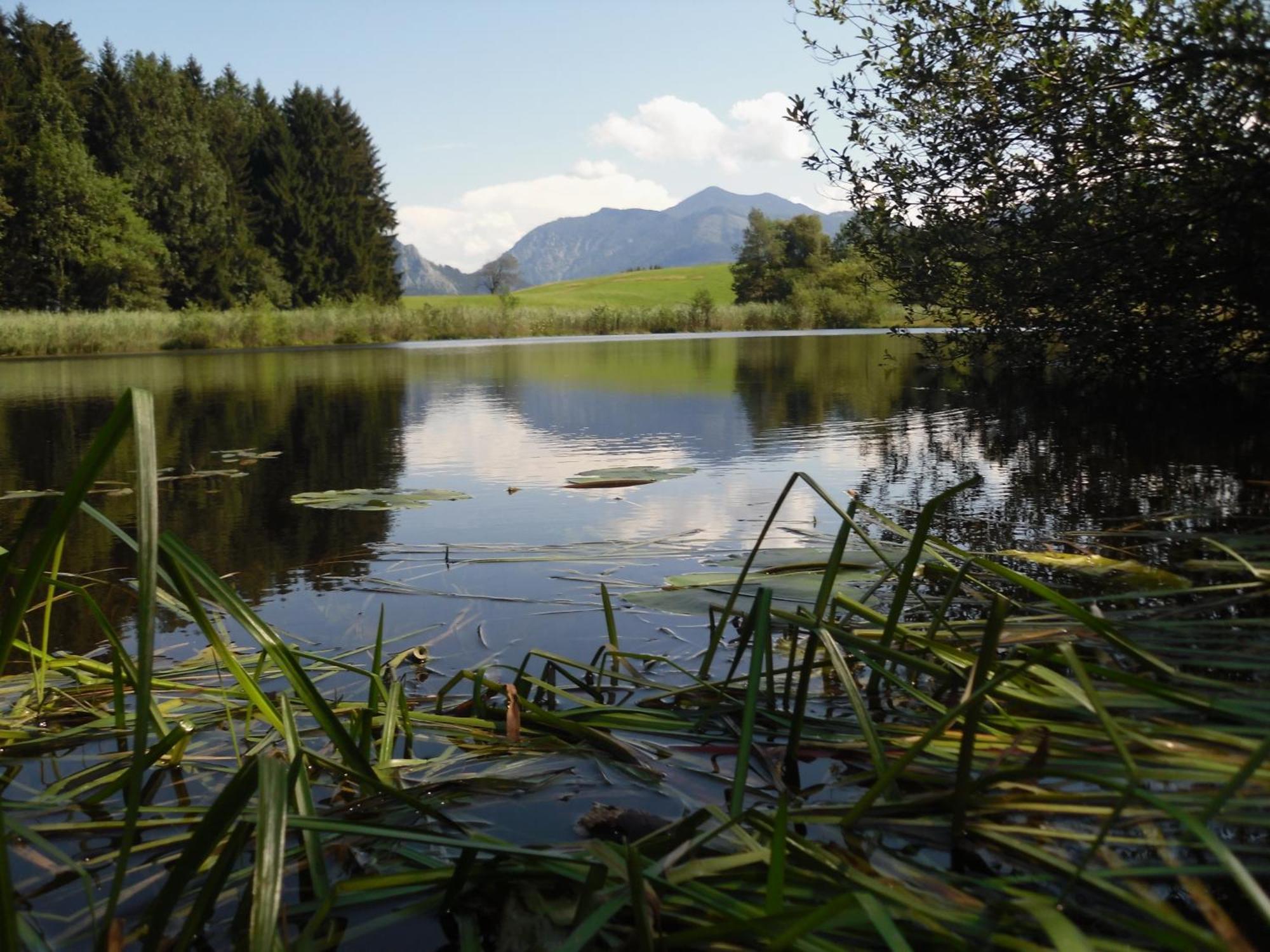 Ferienhof Margarethengut Unterach am Attersee Bagian luar foto