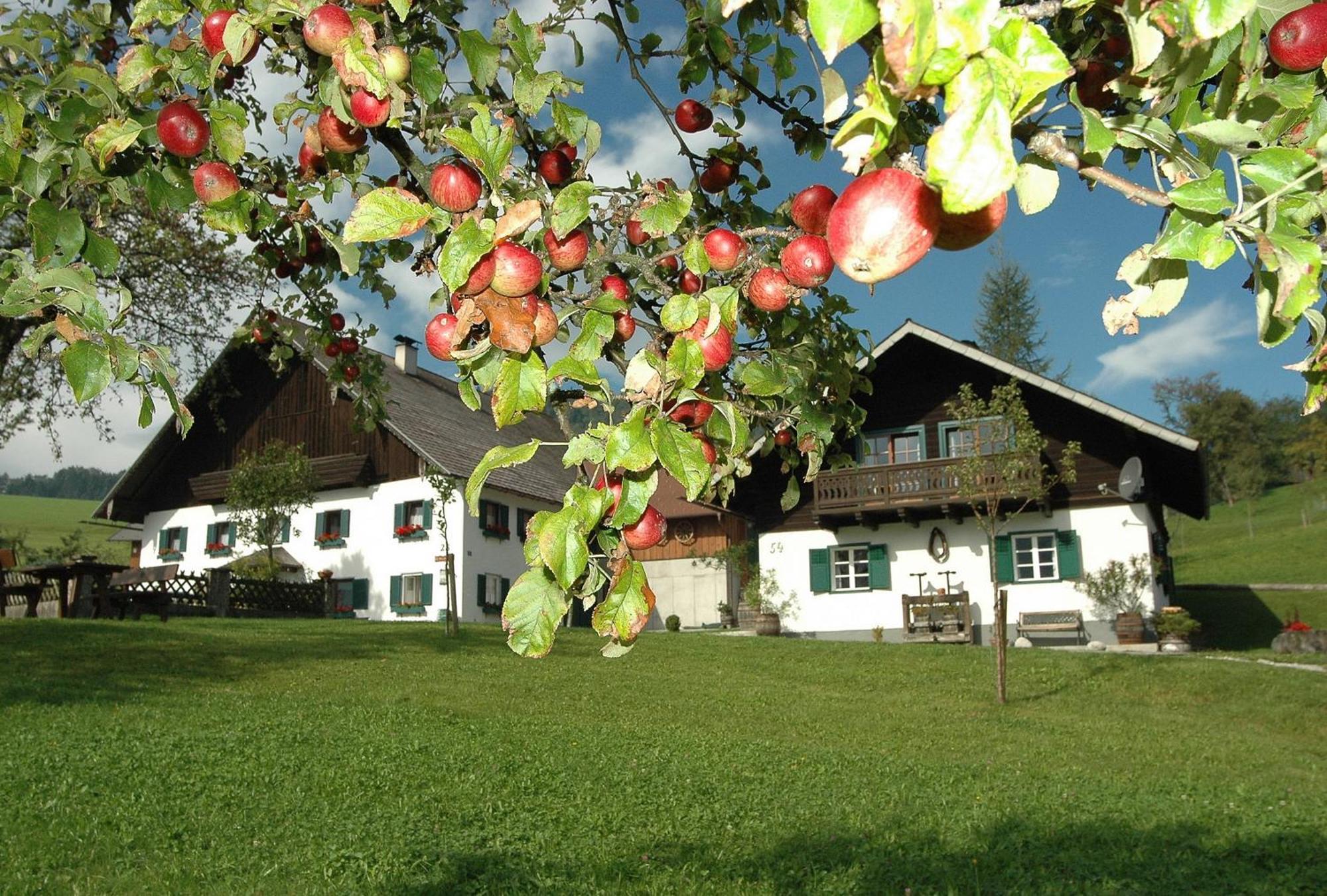 Ferienhof Margarethengut Unterach am Attersee Bagian luar foto