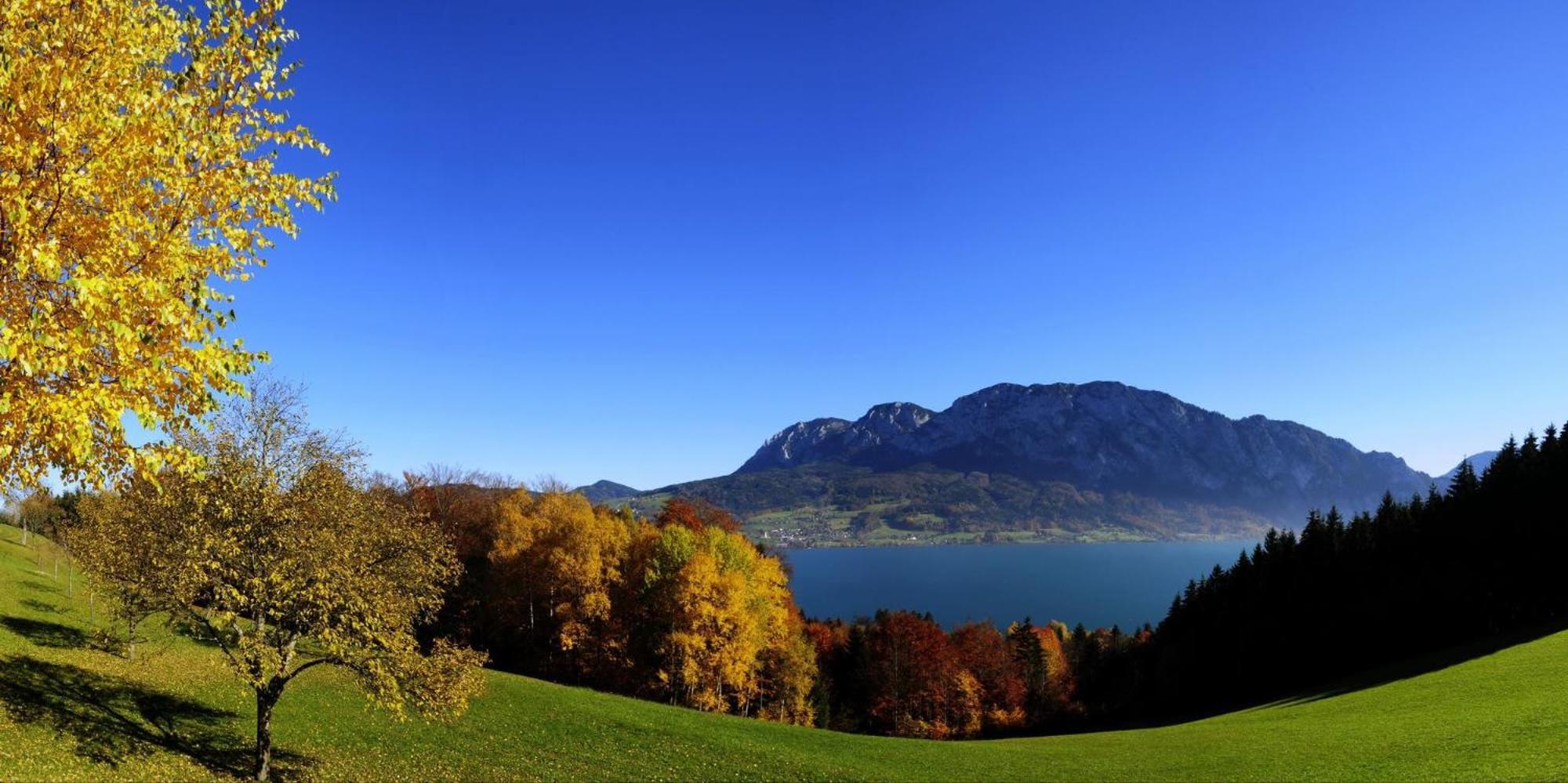Ferienhof Margarethengut Unterach am Attersee Bagian luar foto