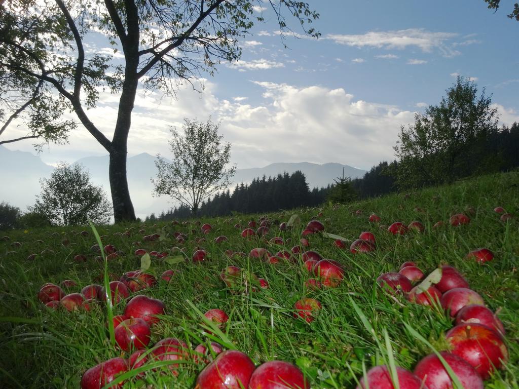 Ferienhof Margarethengut Unterach am Attersee Bagian luar foto